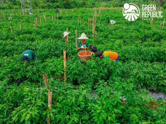 Green Acres Farms